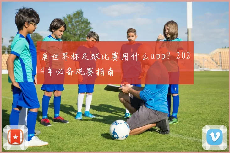 看世界杯足球比赛用什么app？2024年必备观赛指南
